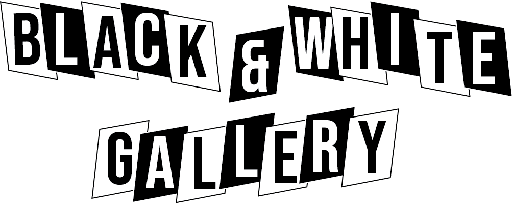 The Black and White Gallery Title Image